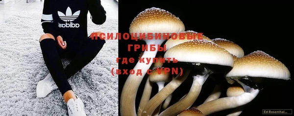 эйфоретик Аркадак