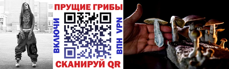 mega ссылка  Саяногорск  Псилоцибиновые грибы MAGIC MUSHROOMS 